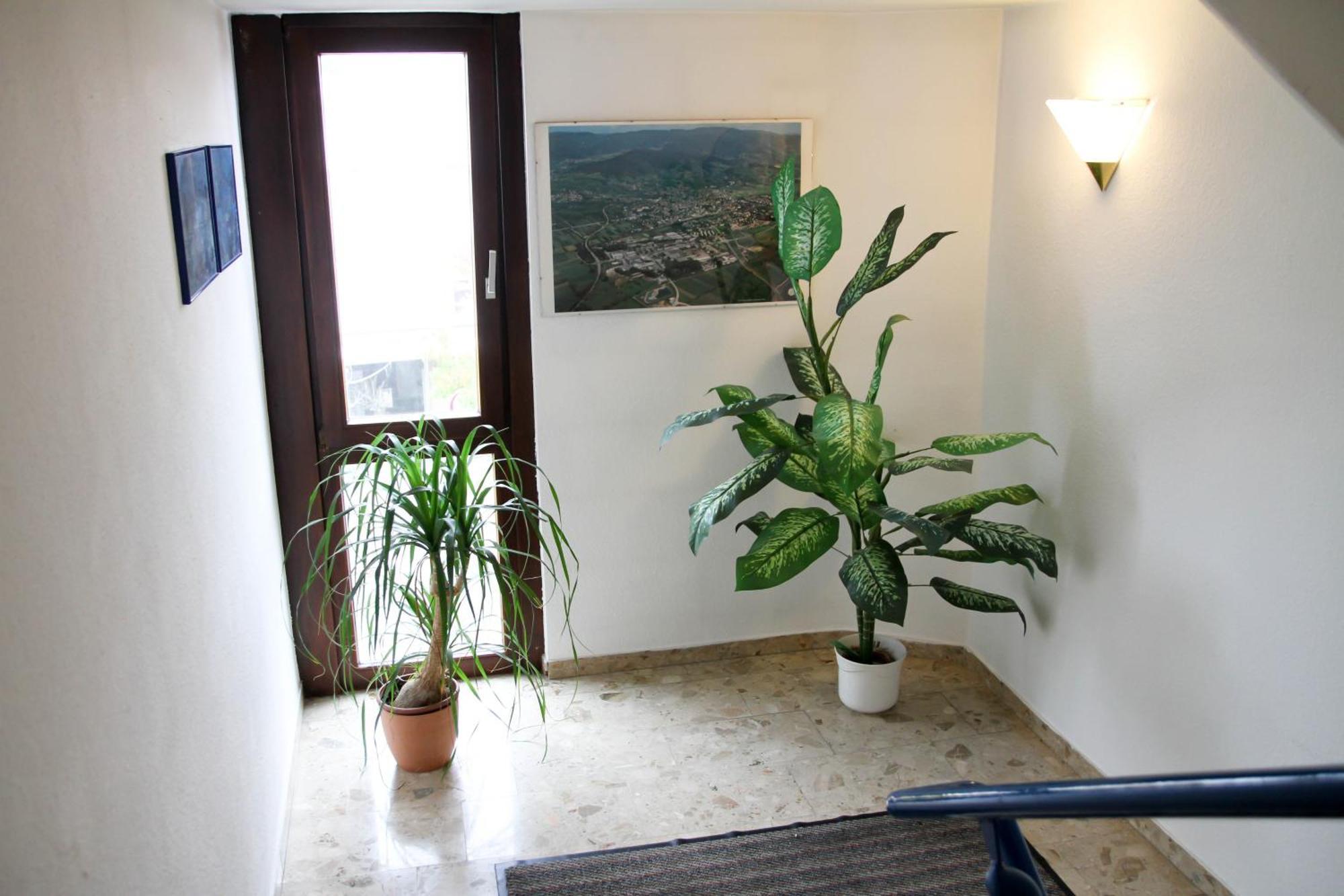 Hotel Garni Italia Бюхль Экстерьер фото